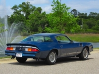 1979 Chevrolet Camaro for sale (ID-163276)