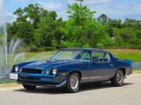1979 Chevrolet Camaro for sale (ID-163276)