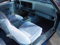 1979 Chevrolet Camaro for sale (ID-163276)