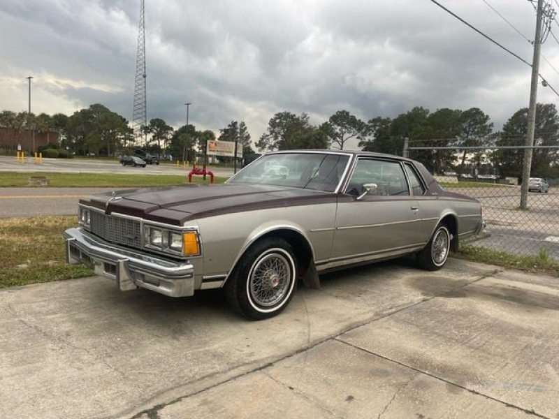 1979 Chevrolet Caprice for sale in Riverhead, New York (ID-108377)