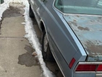 1979 Chevrolet Caprice for sale in Michigan (ID-140812)