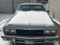1979 Chevrolet Caprice for sale in Michigan (ID-140812)