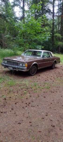 1979 Chevrolet Caprice Classic for sale in Michigan (ID-145835)