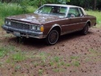 1979 Chevrolet Caprice Classic for sale in Michigan (ID-145835)