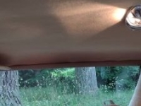 1979 Chevrolet Caprice Classic for sale in Michigan (ID-145835)