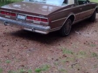 1979 Chevrolet Caprice Classic for sale in Michigan (ID-145835)