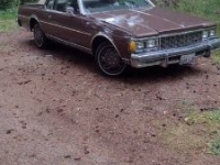 1979 Chevrolet Caprice Classic for sale in Michigan (ID-145835)