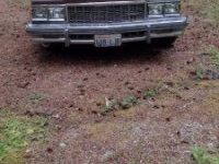 1979 Chevrolet Caprice Classic for sale in Michigan (ID-145835)