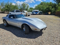 1979 Chevrolet Chevrolot for sale in Michigan (ID-142708)