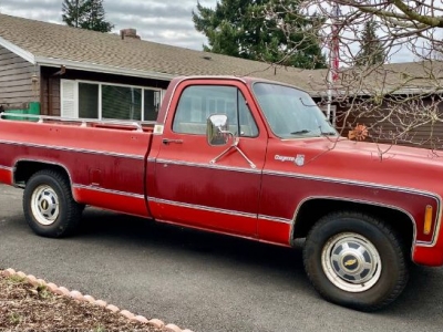 1979 Chevrolet Cheyenne for sale