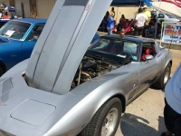 1979 Chevrolet Corvette for sale (ID-99297)