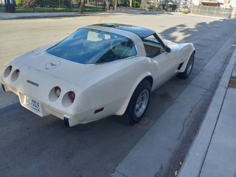 1979 Chevrolet Corvette for sale in Michigan (ID-102234) 1979 Chevrolet Corvette for sale in Michigan (ID-102234)
