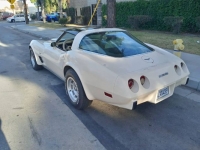 1979 Chevrolet Corvette for sale in Michigan (ID-102234)