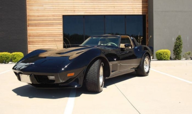 1979 Chevrolet Corvette for sale in Michigan (ID-102389)