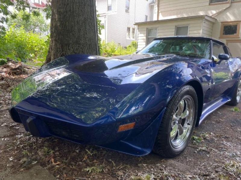 1979 Chevrolet Corvette for sale in Michigan (ID-102823)