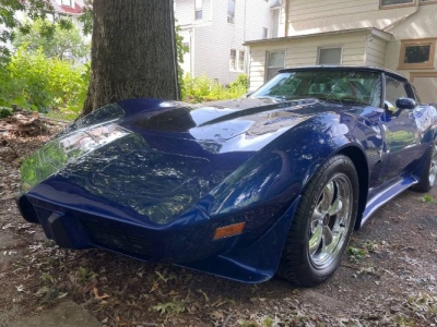 1979 Chevrolet Corvette for sale
