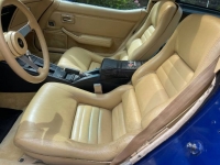 1979 Chevrolet Corvette for sale in Michigan (ID-102823)