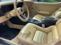 1979 Chevrolet Corvette for sale in Michigan (ID-102823)