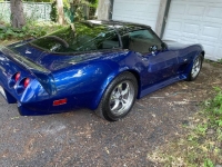 1979 Chevrolet Corvette for sale in Michigan (ID-102823)