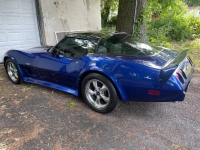 1979 Chevrolet Corvette for sale in Michigan (ID-102823)