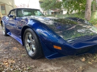1979 Chevrolet Corvette for sale in Michigan (ID-102823)