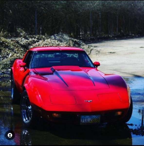 1979 Chevrolet Corvette for sale in Michigan (ID-113696)