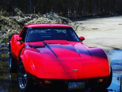1979 Chevrolet Corvette for sale