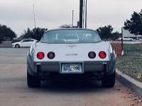1979 Chevrolet Corvette for sale in Michigan (ID-114021)