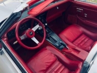 1979 Chevrolet Corvette for sale in Michigan (ID-114021)