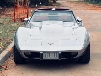1979 Chevrolet Corvette for sale in Michigan (ID-114021)