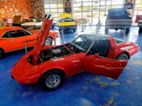1979 Chevrolet Corvette for sale in Michigan (ID-114589)