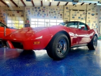1979 Chevrolet Corvette for sale in Michigan (ID-114589)
