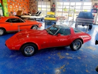 1979 Chevrolet Corvette for sale in Michigan (ID-114589)