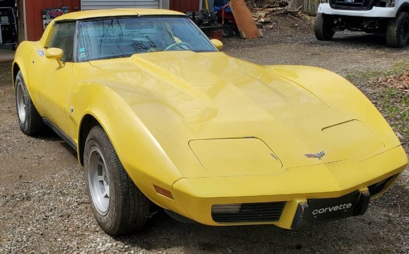 1979 Chevrolet Corvette for sale in Michigan (ID-116616)