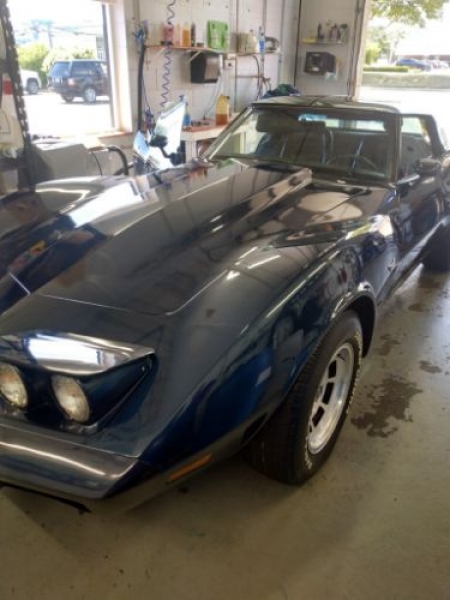 1979 Chevrolet Corvette for sale in Michigan (ID-117301)