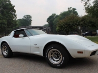 1979 Chevrolet Corvette for sale in Michigan (ID-117618)