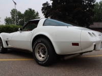 1979 Chevrolet Corvette for sale in Michigan (ID-117618)