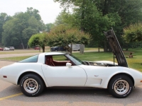 1979 Chevrolet Corvette for sale in Michigan (ID-117618)