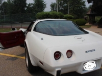 1979 Chevrolet Corvette for sale in Michigan (ID-117618)