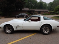 1979 Chevrolet Corvette for sale in Michigan (ID-117618)