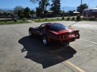 1979 Chevrolet Corvette for sale in Michigan (ID-119002)