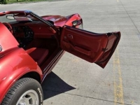 1979 Chevrolet Corvette for sale in Michigan (ID-119002)