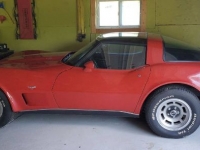 1979 Chevrolet Corvette for sale in Michigan (ID-119325)