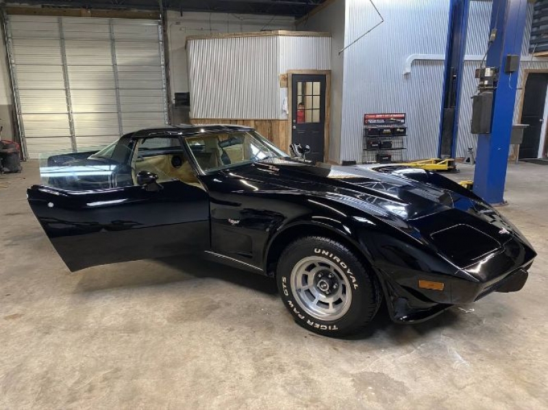 1979 Chevrolet Corvette for sale in Michigan (ID-120383)