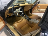 1979 Chevrolet Corvette for sale in Michigan (ID-120383)