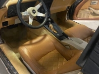 1979 Chevrolet Corvette for sale in Michigan (ID-120383)
