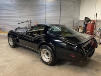 1979 Chevrolet Corvette for sale in Michigan (ID-120383)
