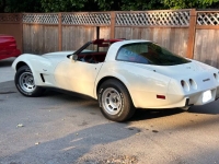 1979 Chevrolet Corvette for sale in Michigan (ID-121148)