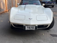 1979 Chevrolet Corvette for sale in Michigan (ID-121148)