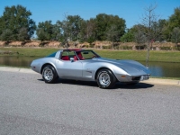 1979 Chevrolet Corvette for sale in Riverhead, New York (ID-125670)